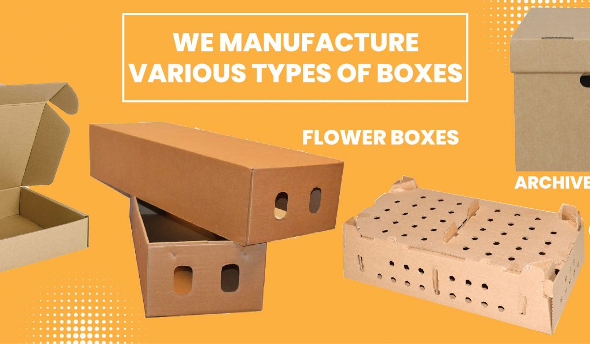 TYPES OF BOXES