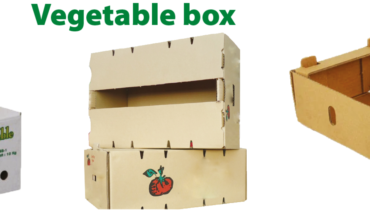 vegetable  Box